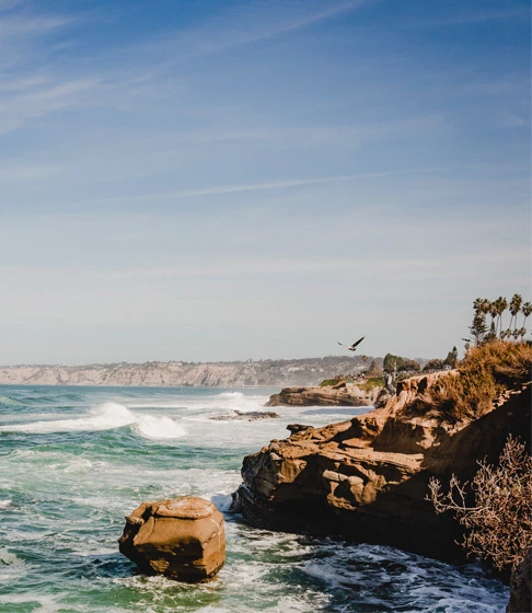 Oceanfront Room & Suite at La Jolla Cove Hotel & Suites