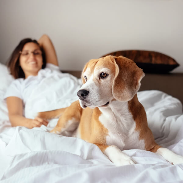 Pet-Friendly Suite at Homewood Suites by Hilton Newark-Fremont