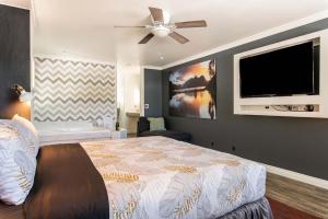 Magic Midnight Suite at Big Bear Spa Suites