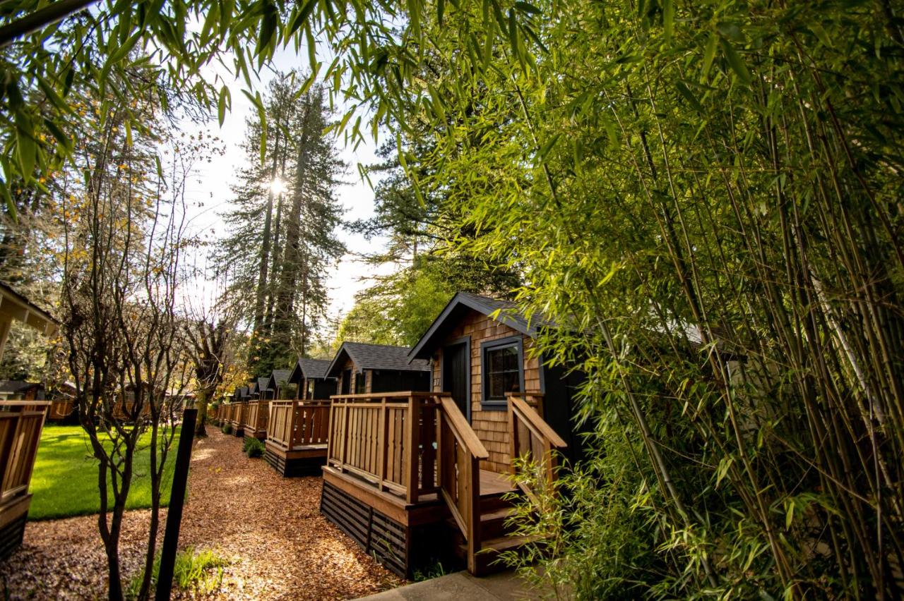 Sycamore Cabin — photo 2