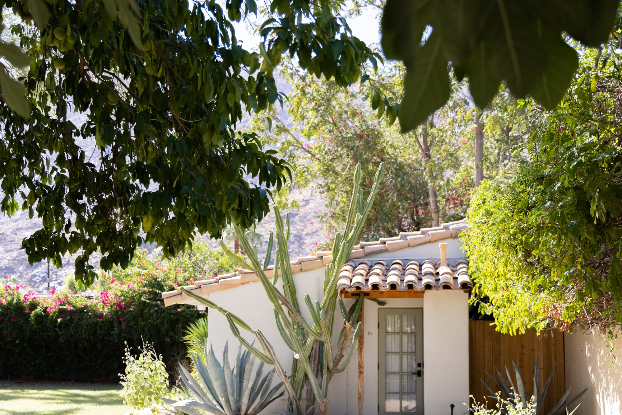 Olympic Cottage at Casa Cody